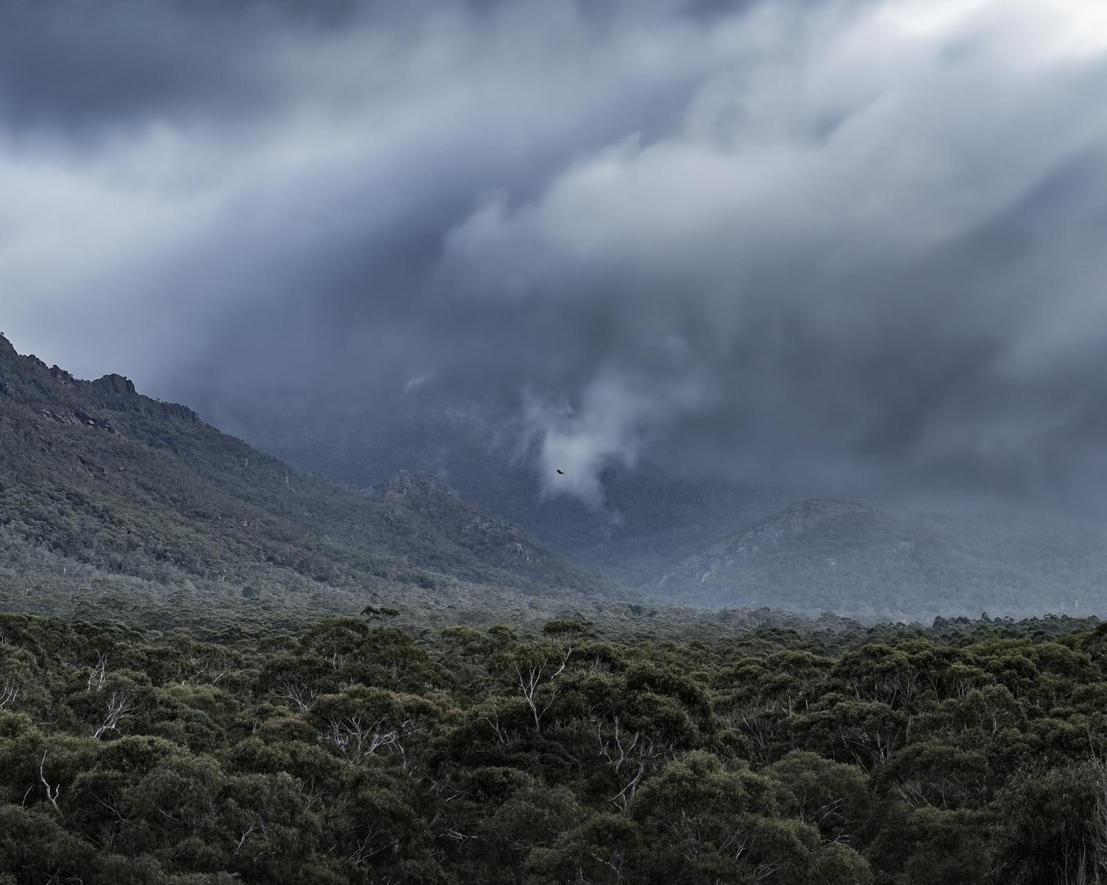 Storm clouds rolling over the Grampians ranges above eucalypt forest