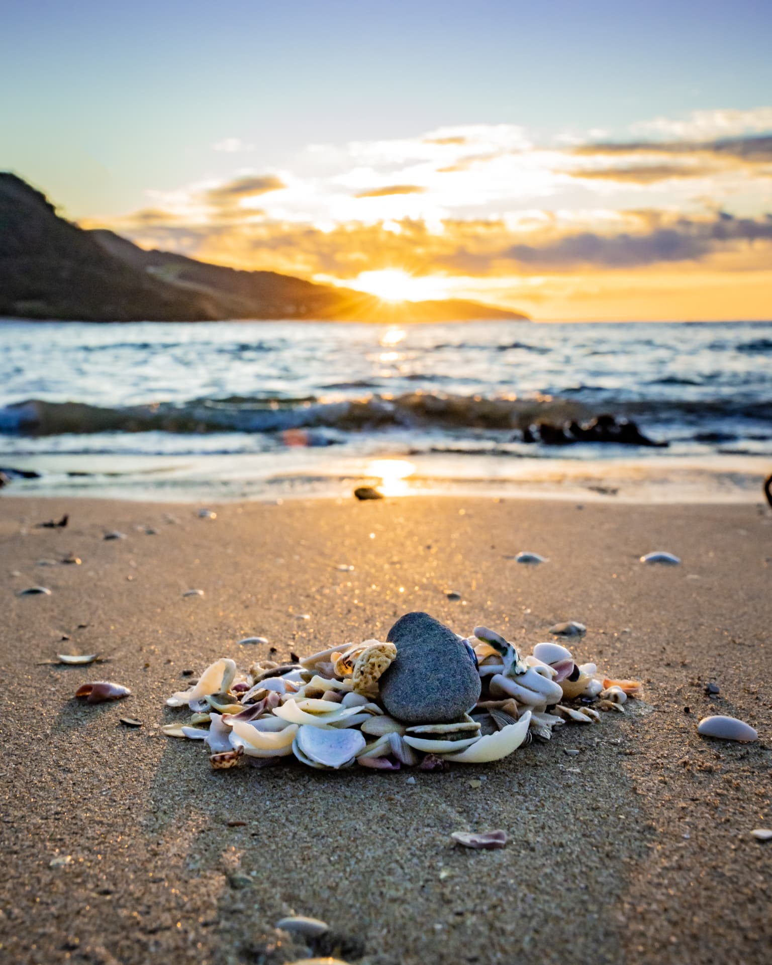 Shells and a smooth stone gathered on sand at sunrise
